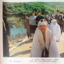 智斗美女蛇剧照