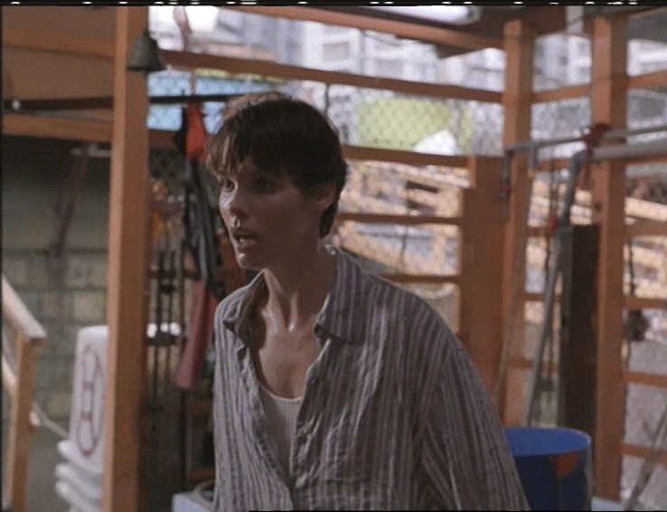 谍网雄风剧照的剧照