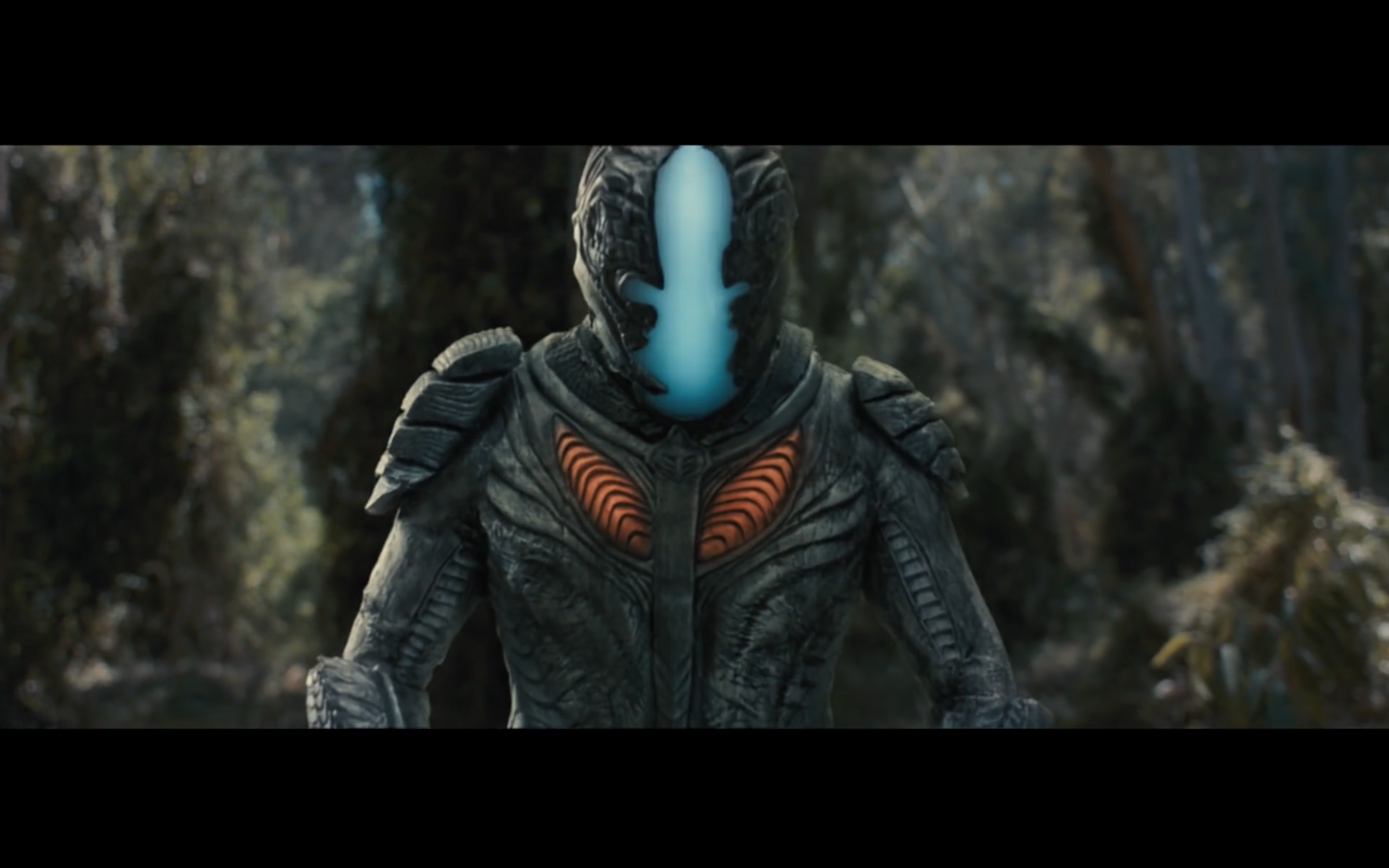 柔道煞星剧照的剧照