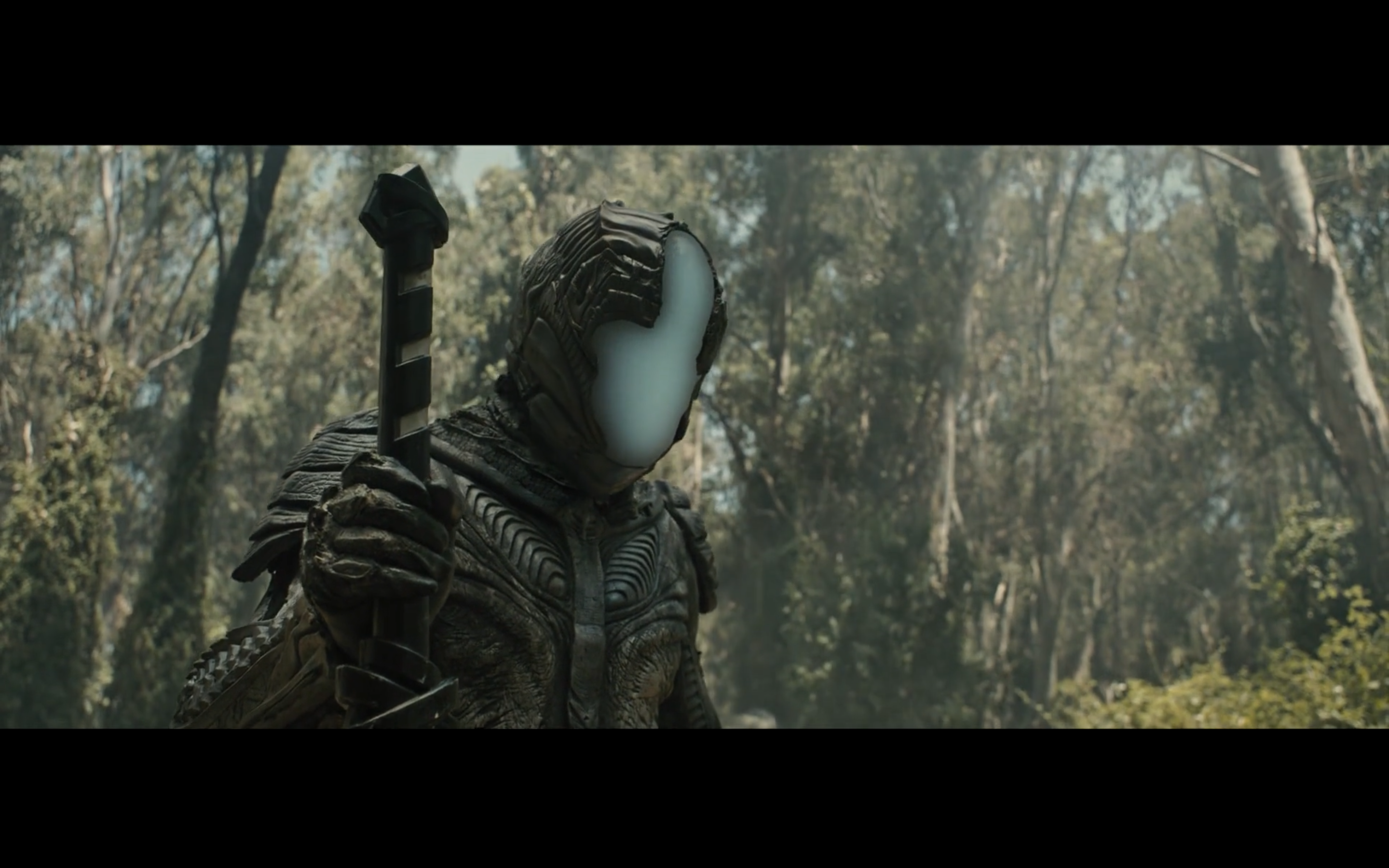 柔道煞星剧照的剧照