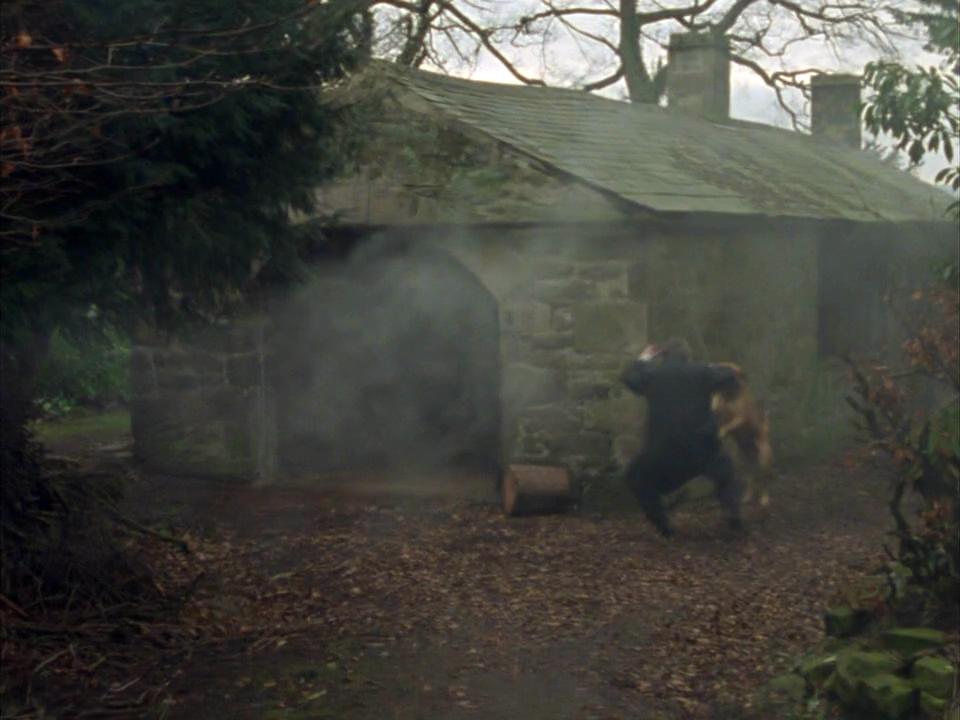 铜山毛榉案剧照的剧照