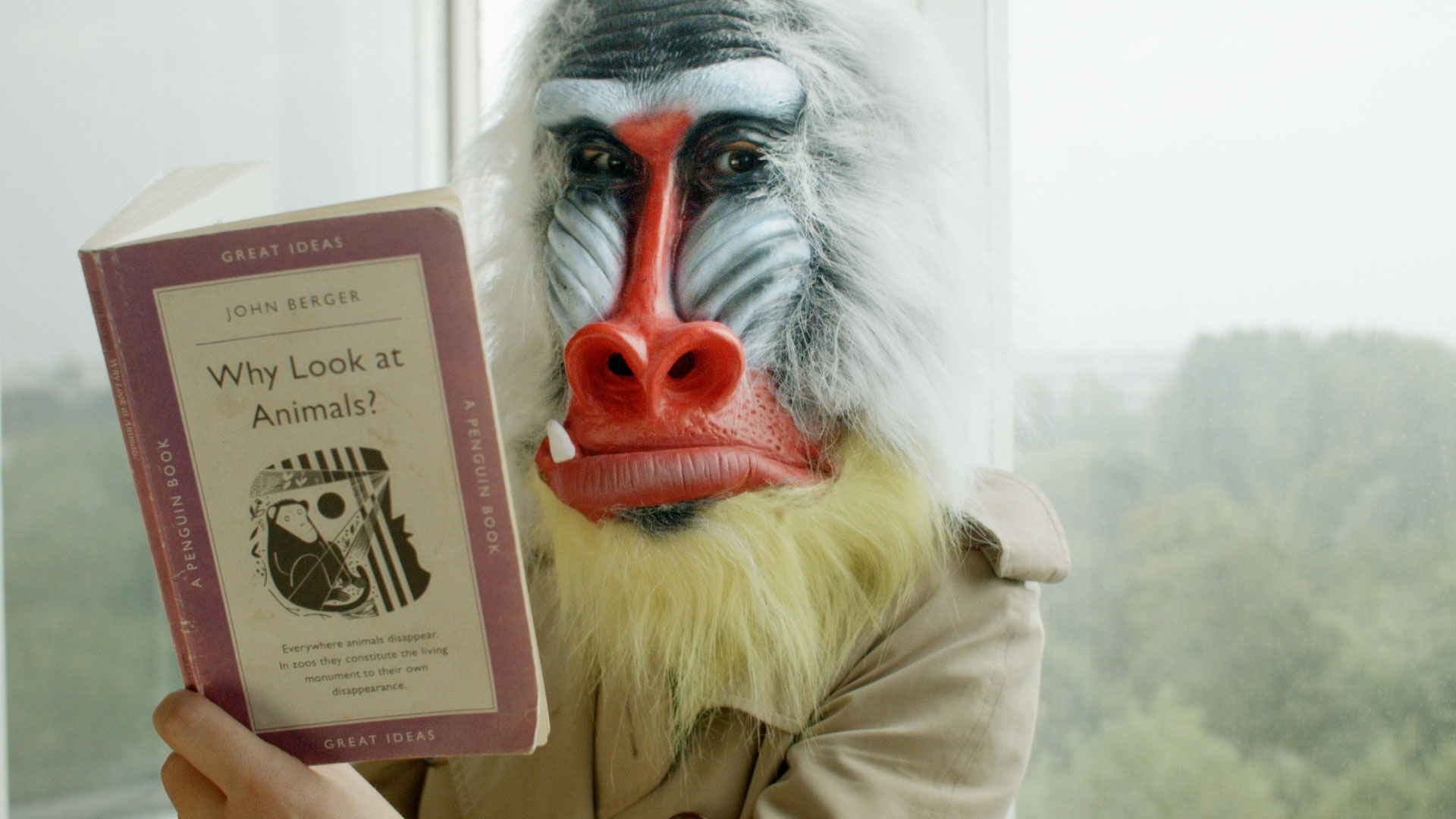 昆西四季剧照的剧照