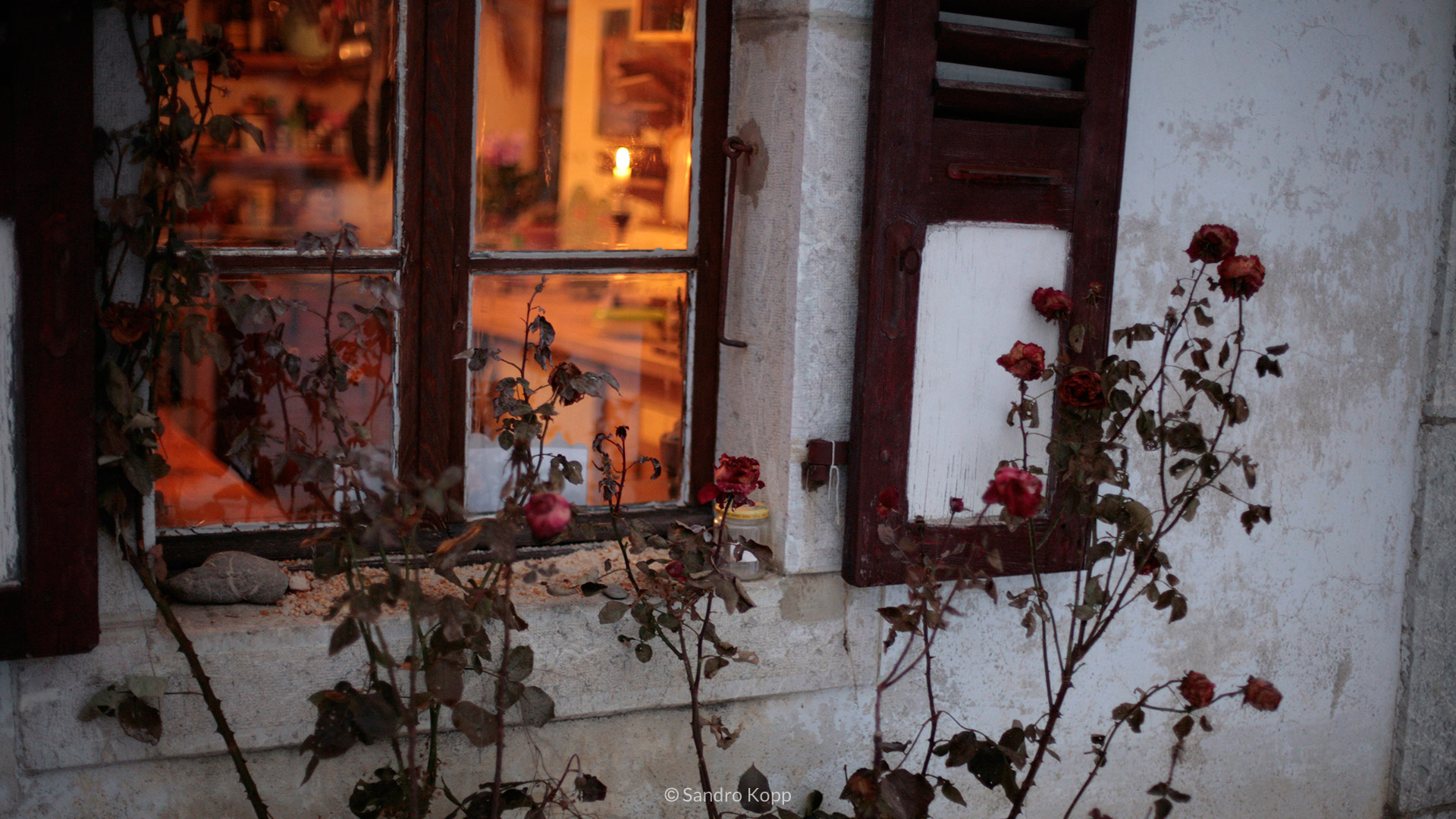 昆西四季剧照的剧照