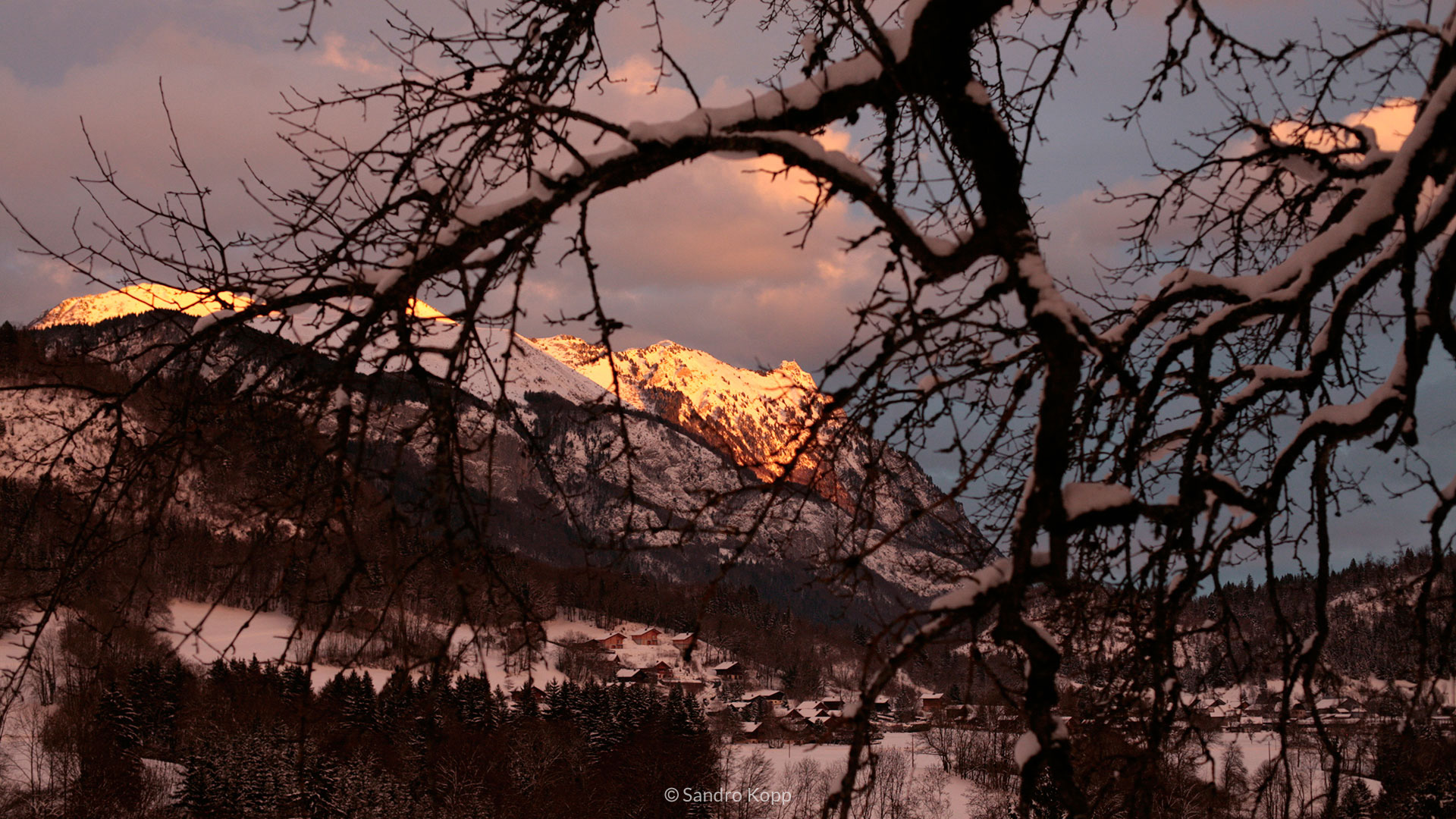 昆西四季剧照的剧照