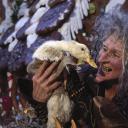 奇幻森林历险记剧照