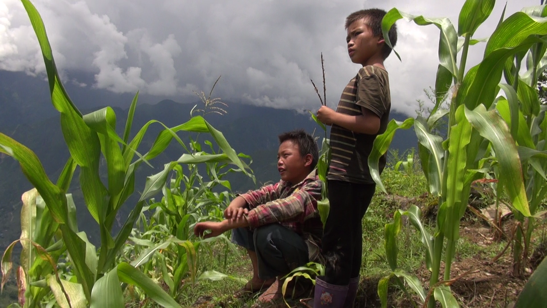 上阿甲剧照的剧照