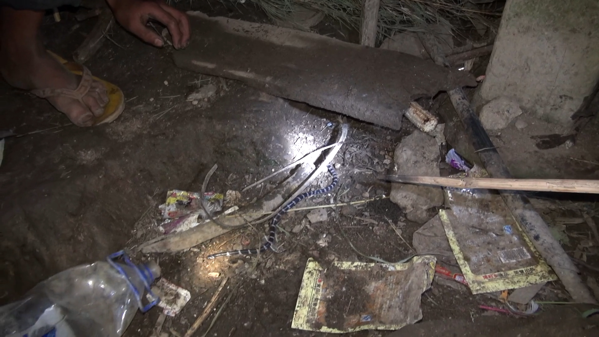 上阿甲剧照的剧照