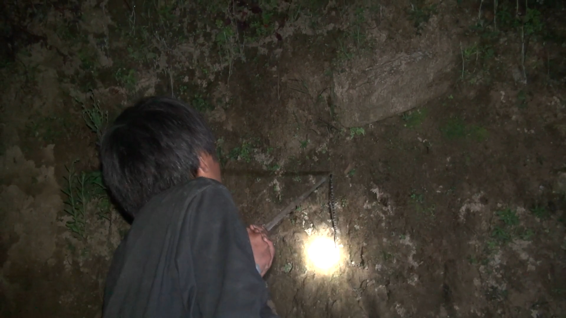 上阿甲剧照的剧照