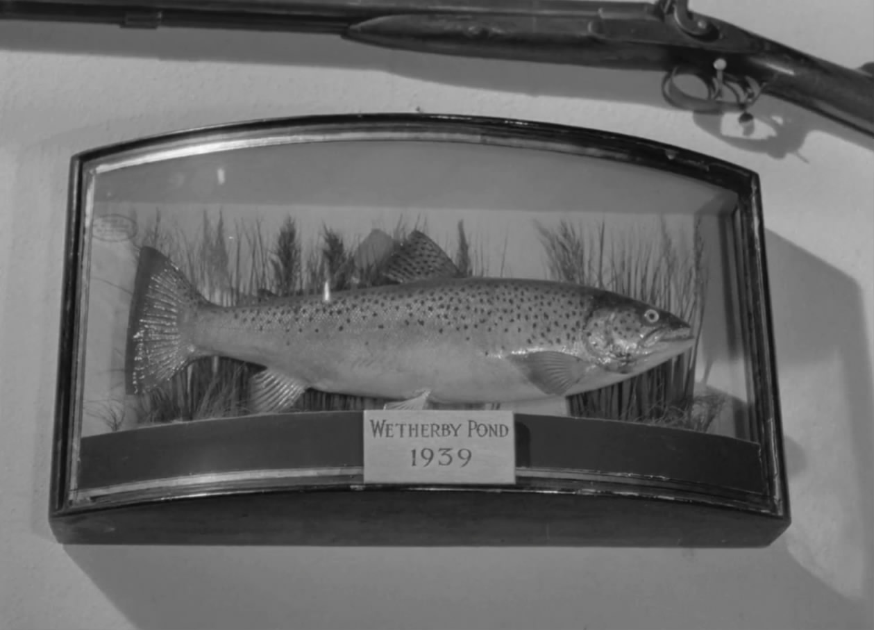 人生中最快乐的日子剧照的剧照