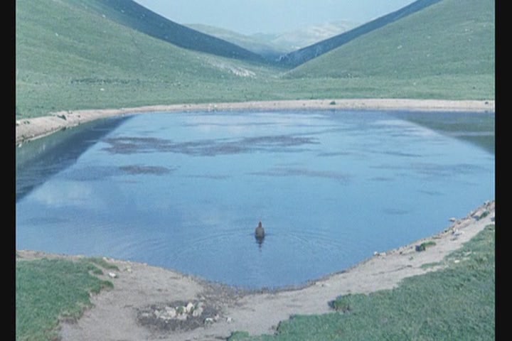 子夜的太阳剧照的剧照