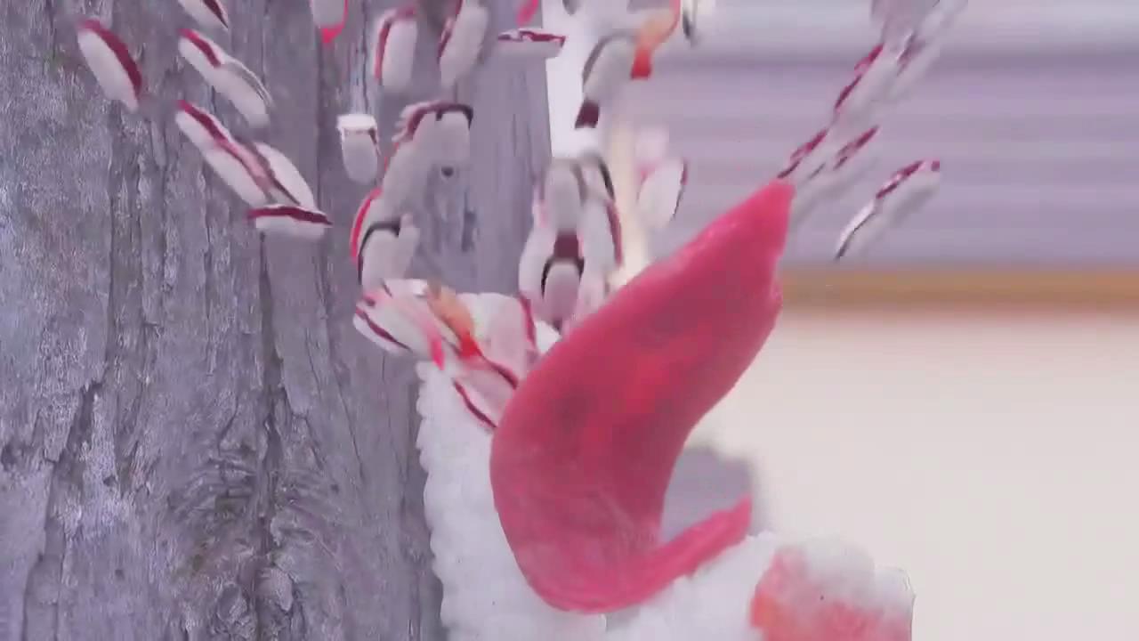 死亡寿司剧照的剧照