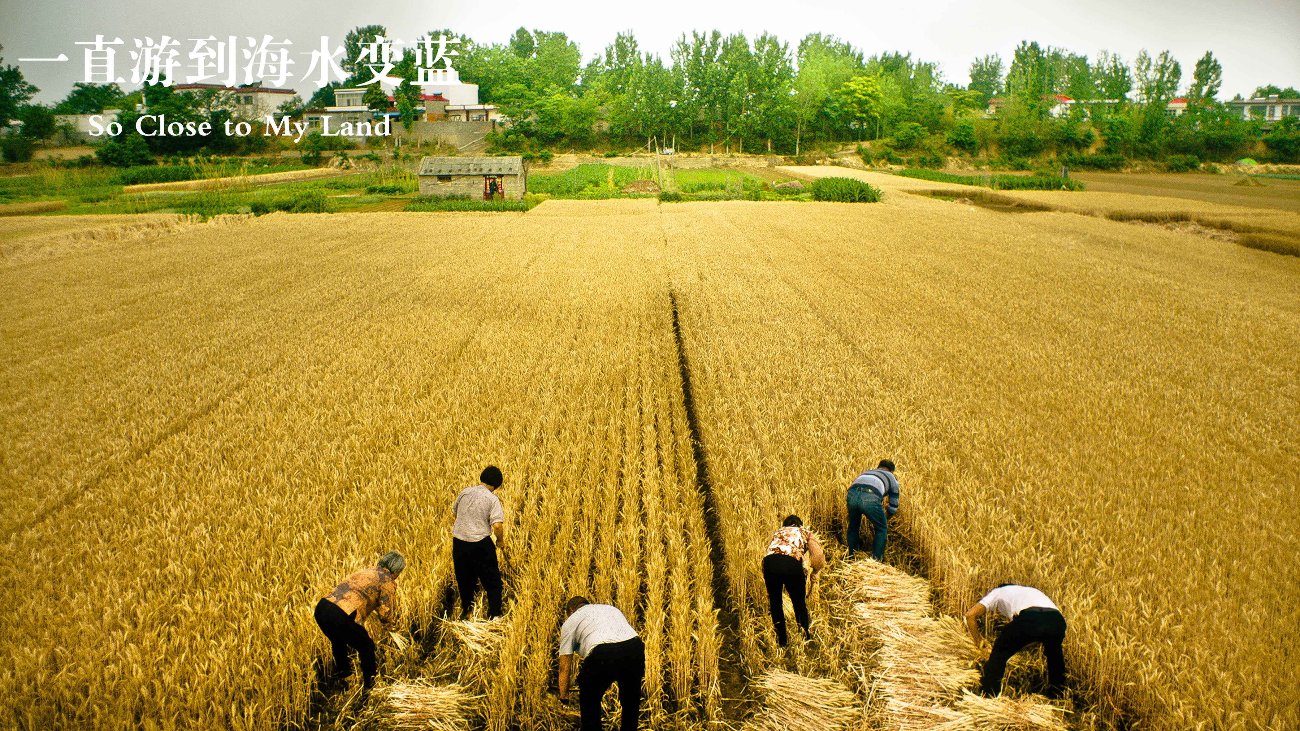 一直游到海水变蓝剧照的剧照