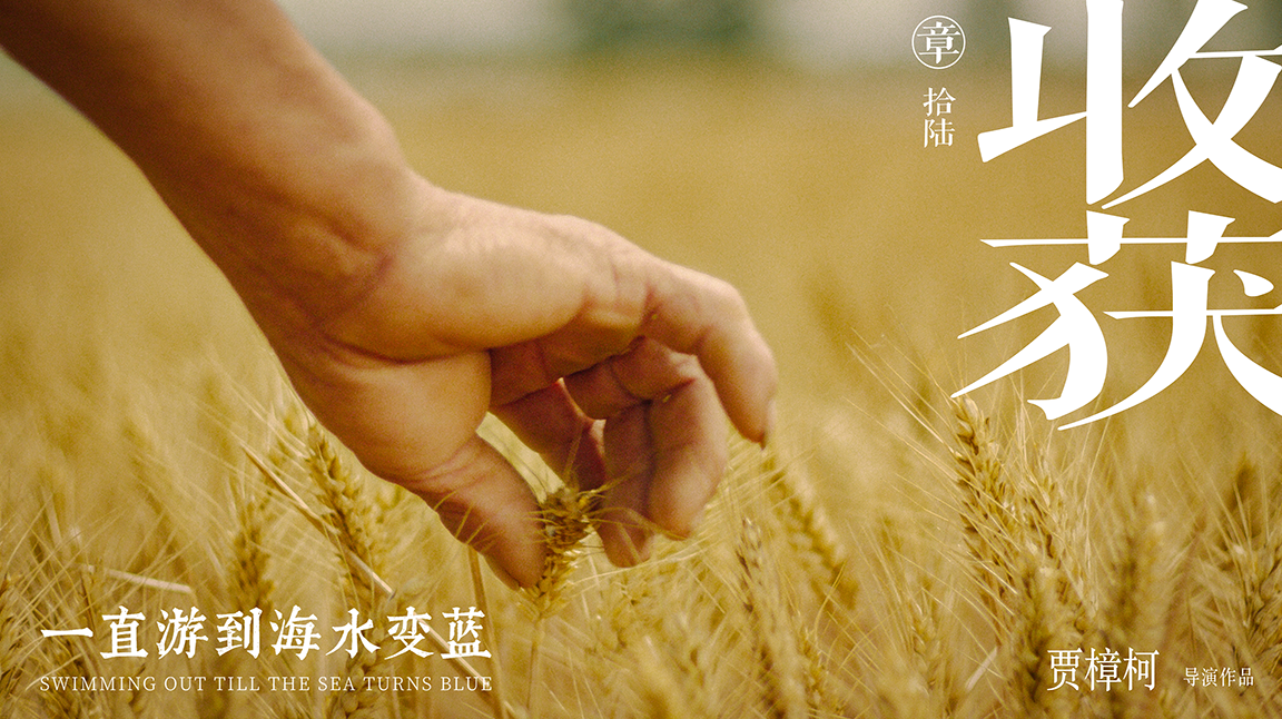 一直游到海水变蓝剧照的剧照