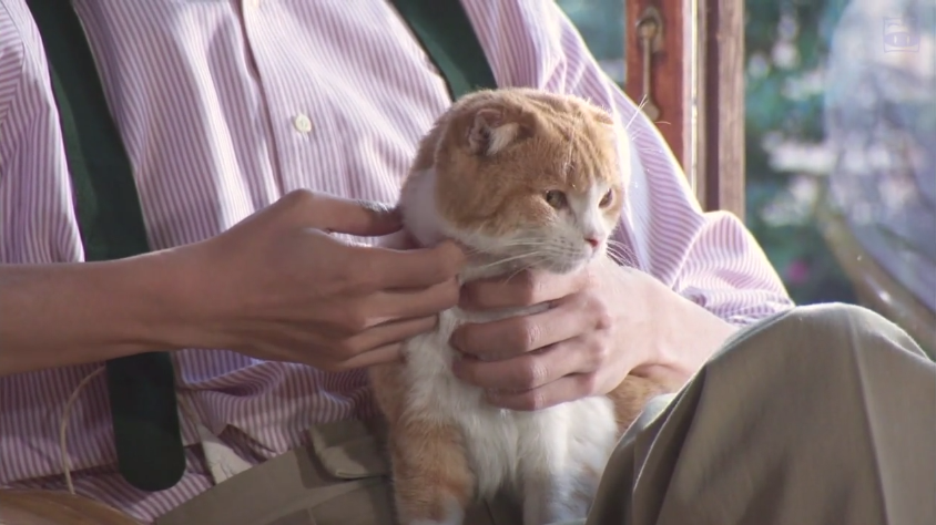 一的悲剧剧照的剧照