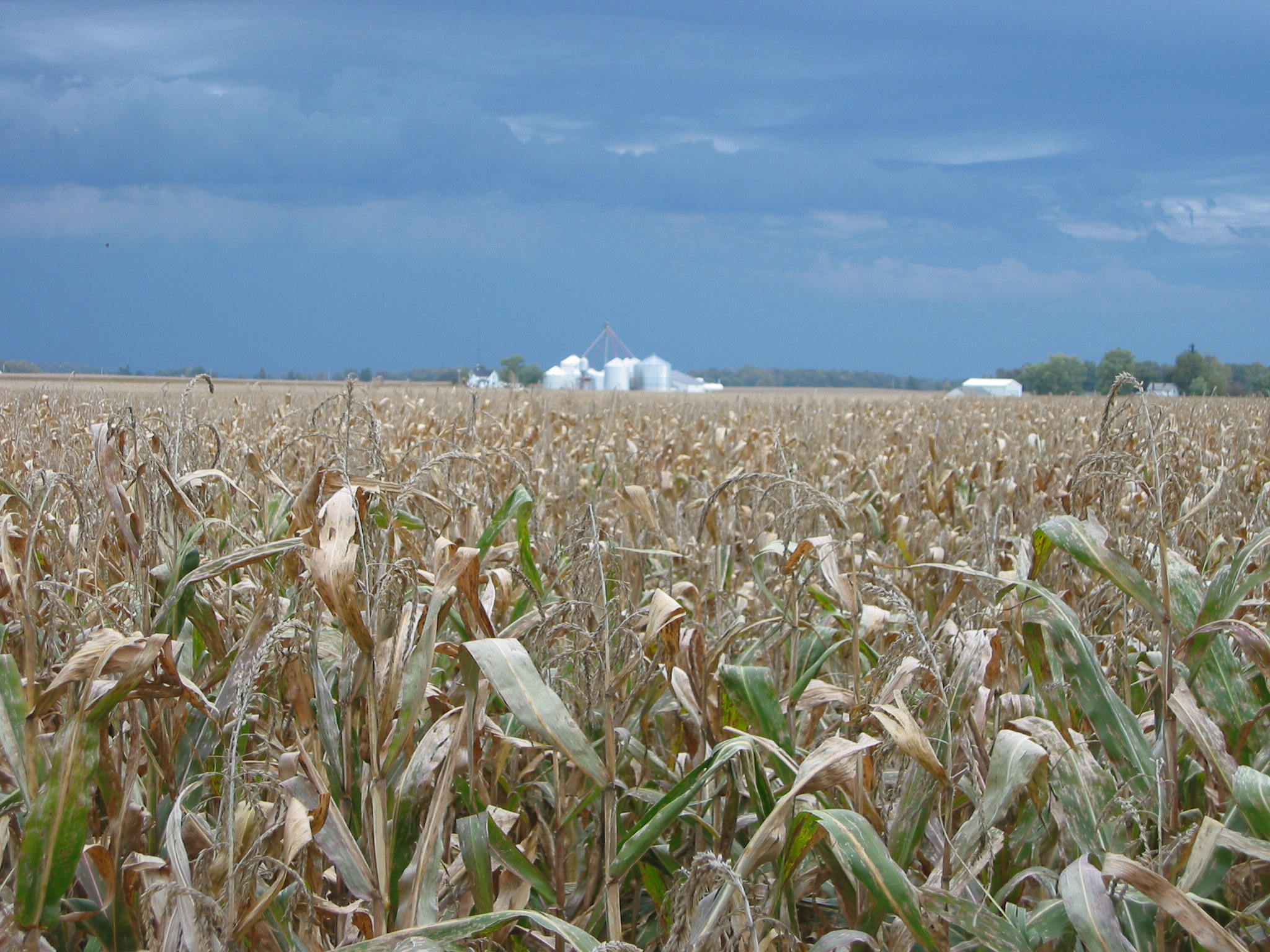 孟山都公司眼中的世界剧照的剧照