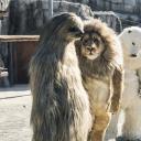 秘密动物园剧照