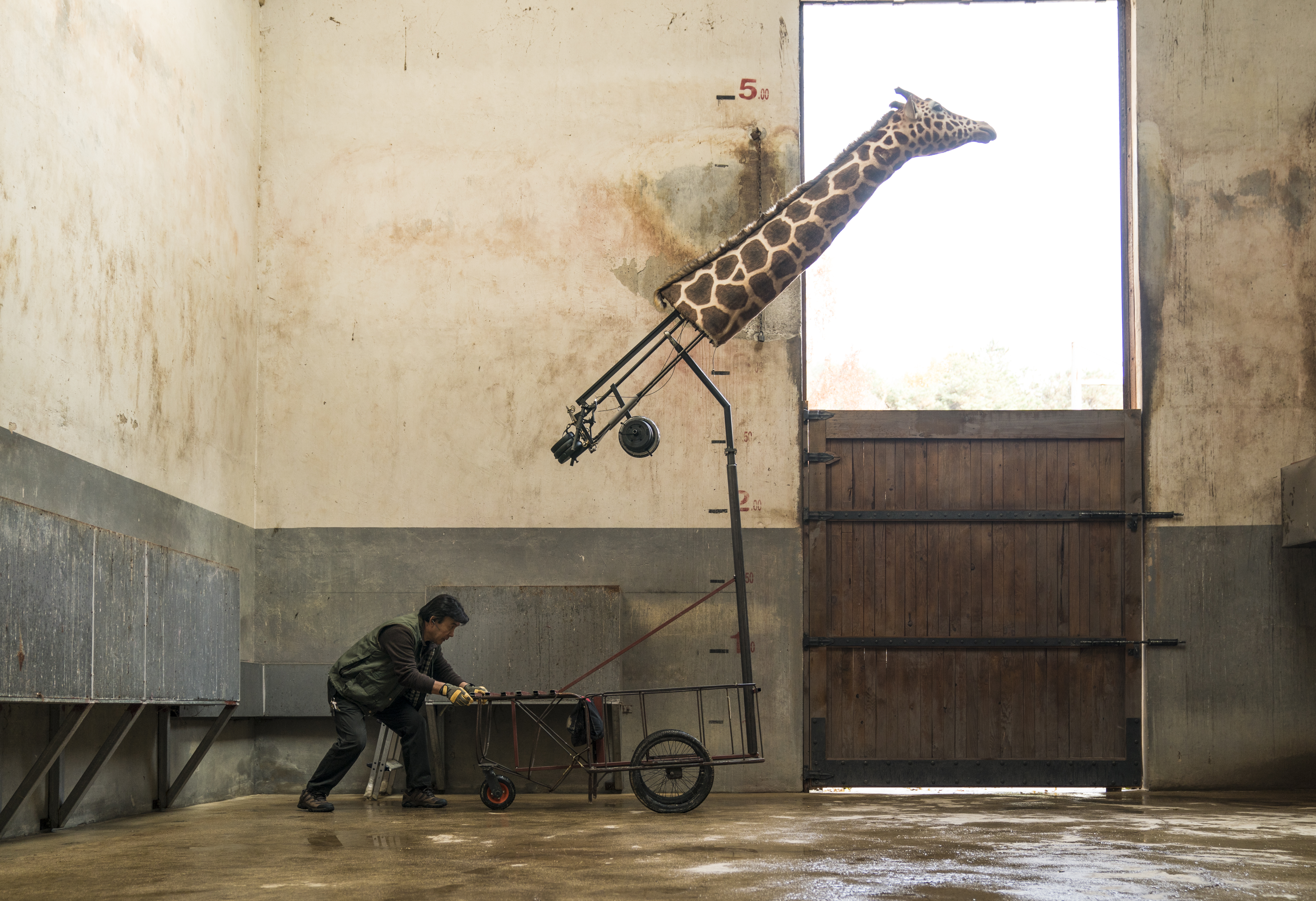 秘密动物园剧照的剧照