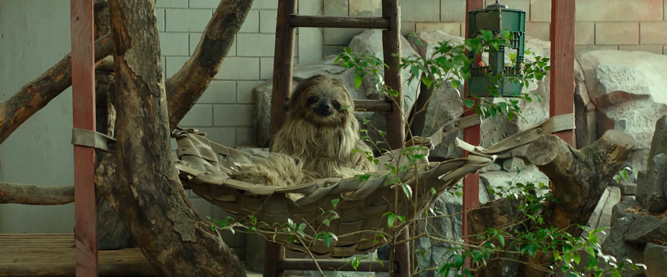 秘密动物园剧照的剧照