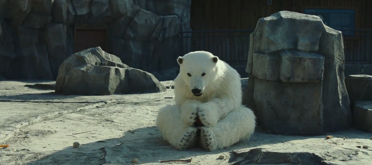 秘密动物园剧照的剧照