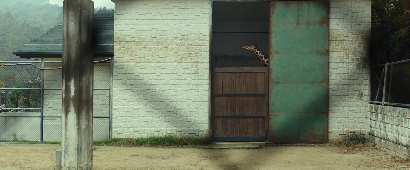 秘密动物园剧照的剧照