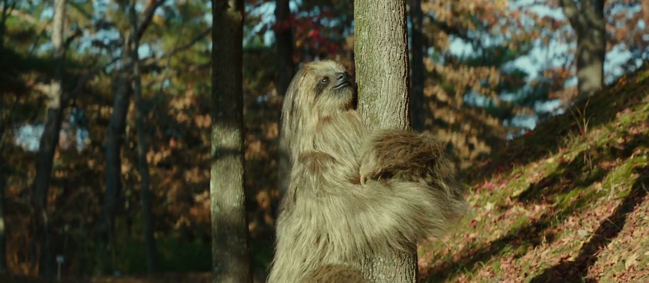 秘密动物园剧照的剧照