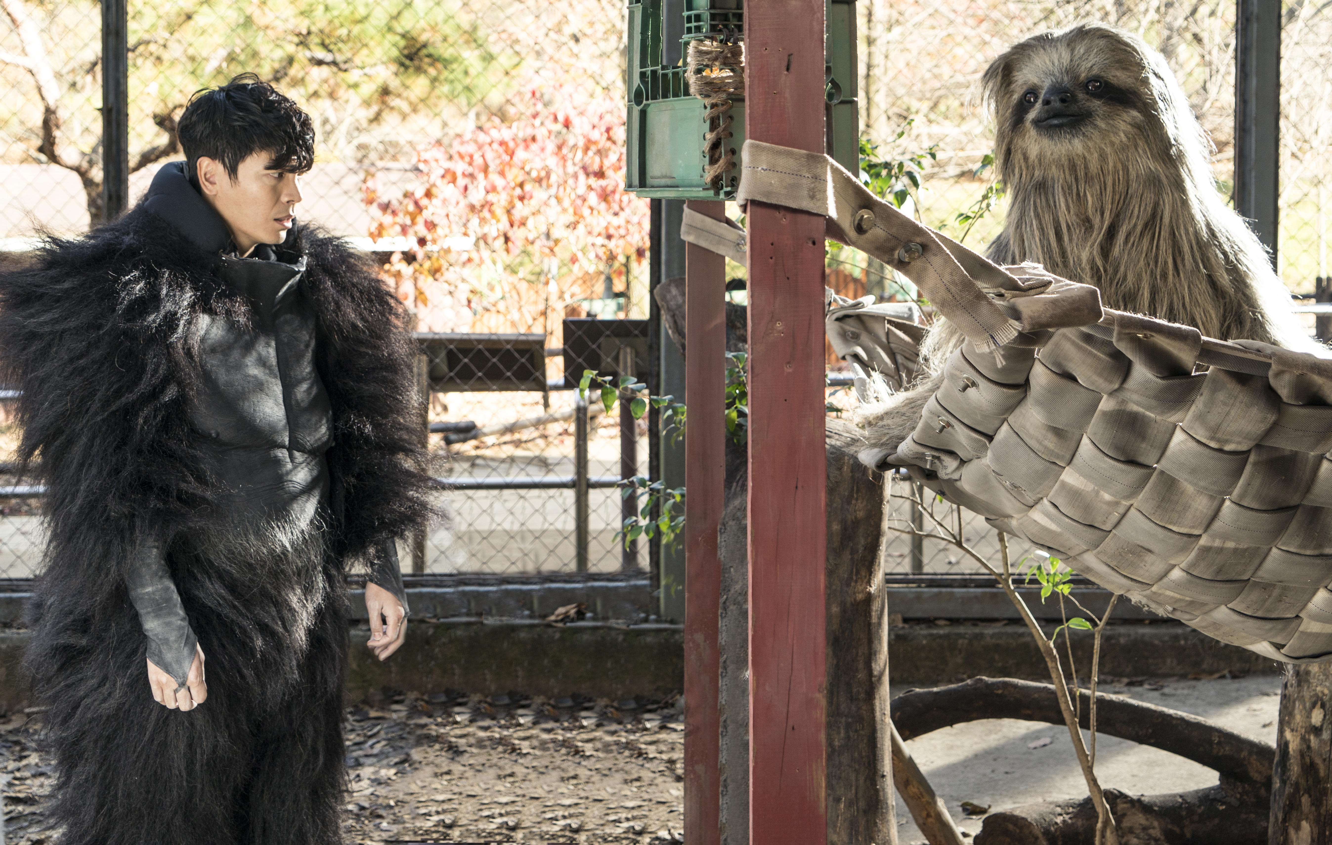 秘密动物园剧照的剧照