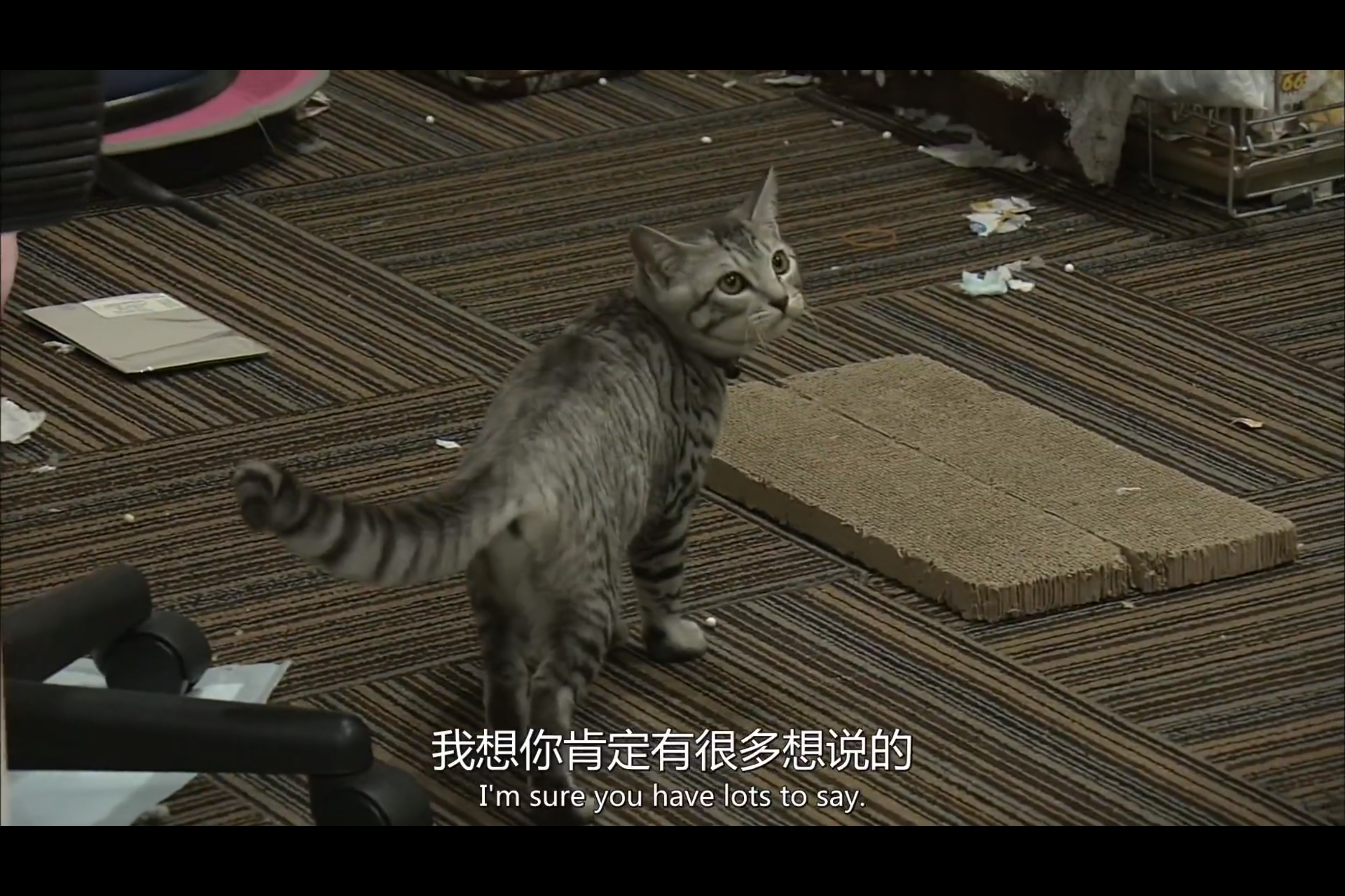 风的电话剧照的剧照