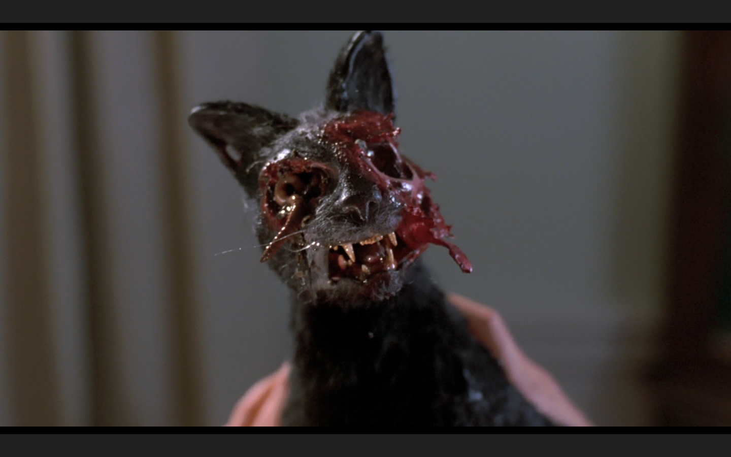 太空僵尸剧照的剧照