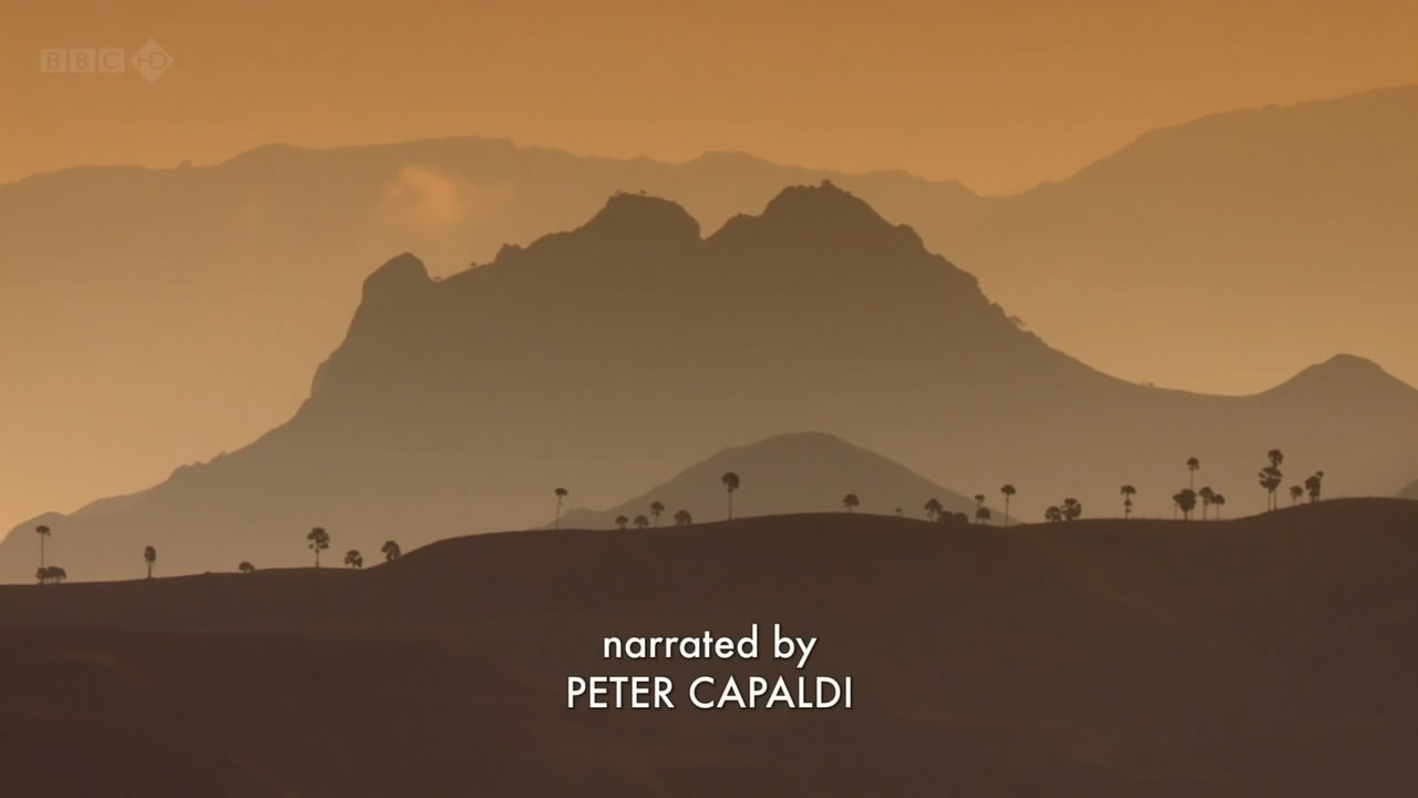 BBC自然世界：死亡之吻—科莫多巨蜥剧照的剧照