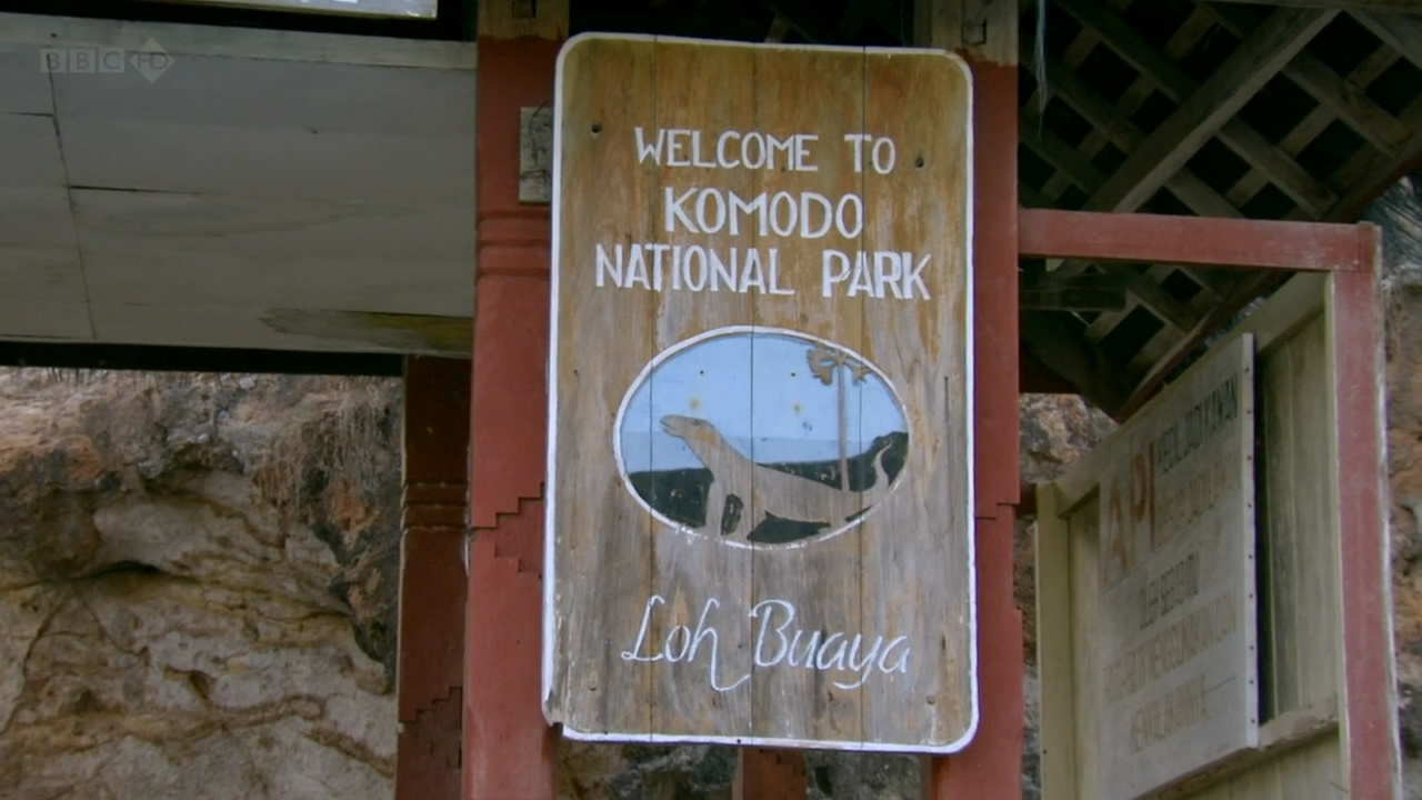 BBC自然世界：死亡之吻—科莫多巨蜥剧照的剧照