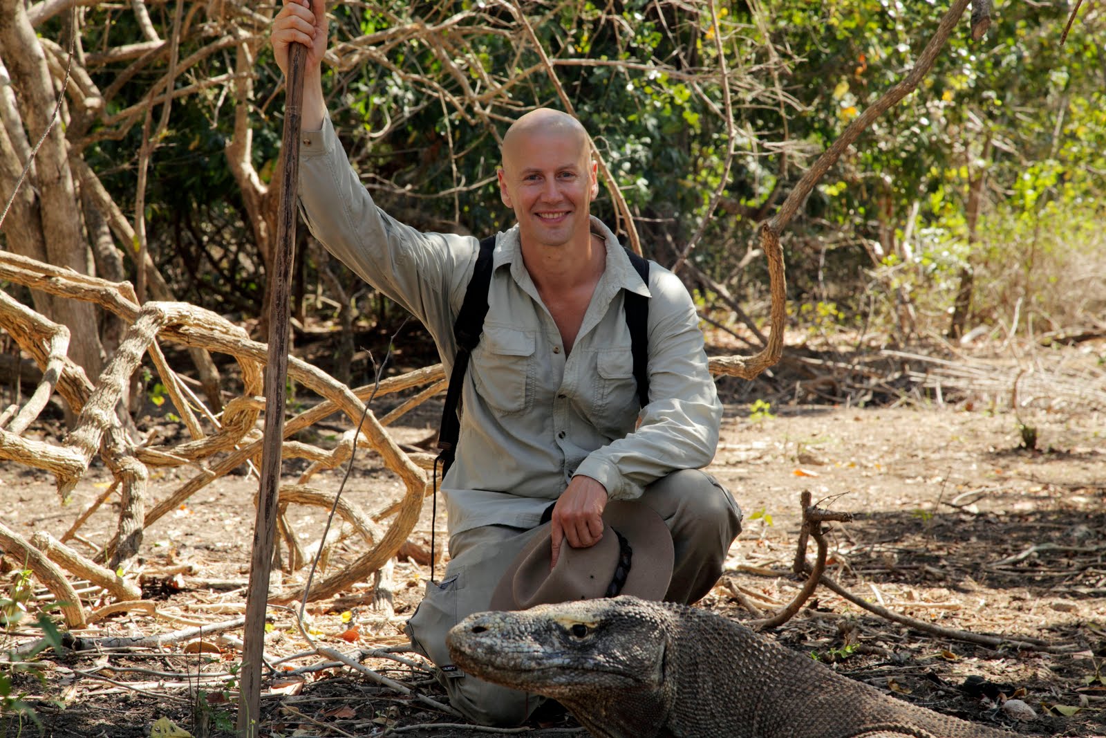 BBC自然世界：死亡之吻—科莫多巨蜥剧照的剧照