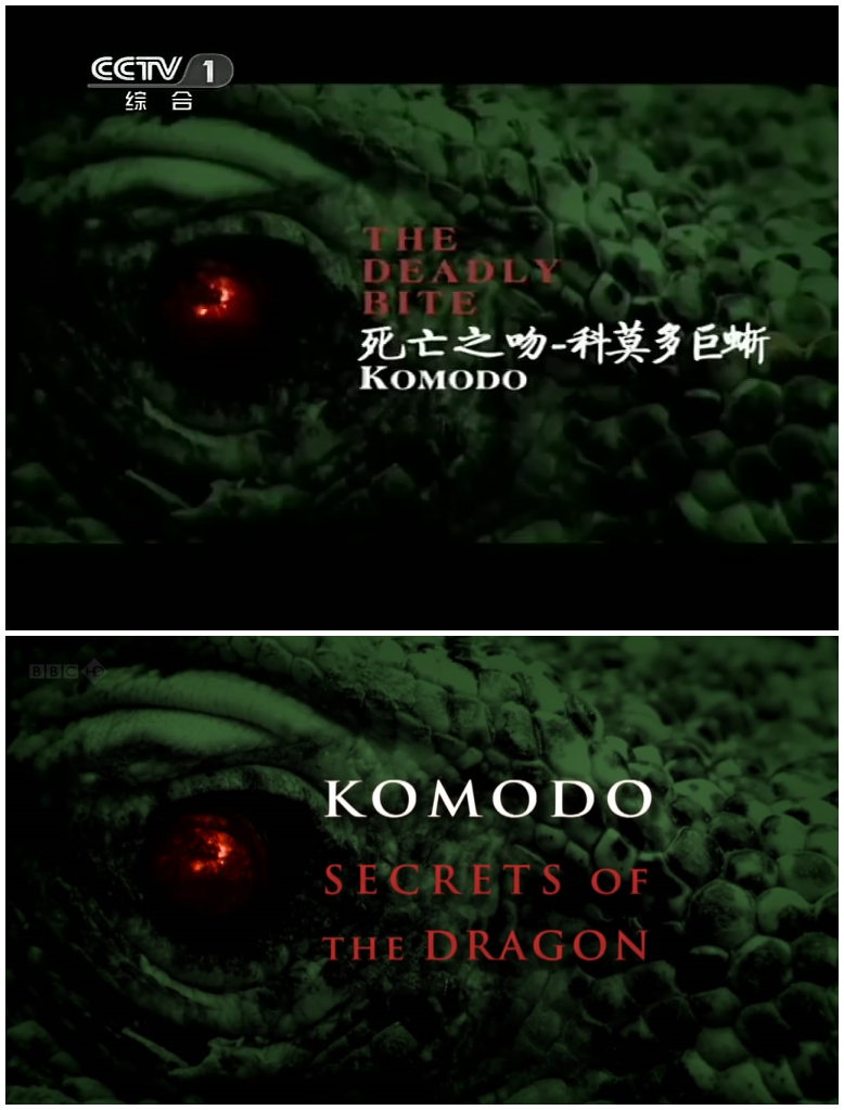 BBC自然世界：死亡之吻—科莫多巨蜥剧照的剧照