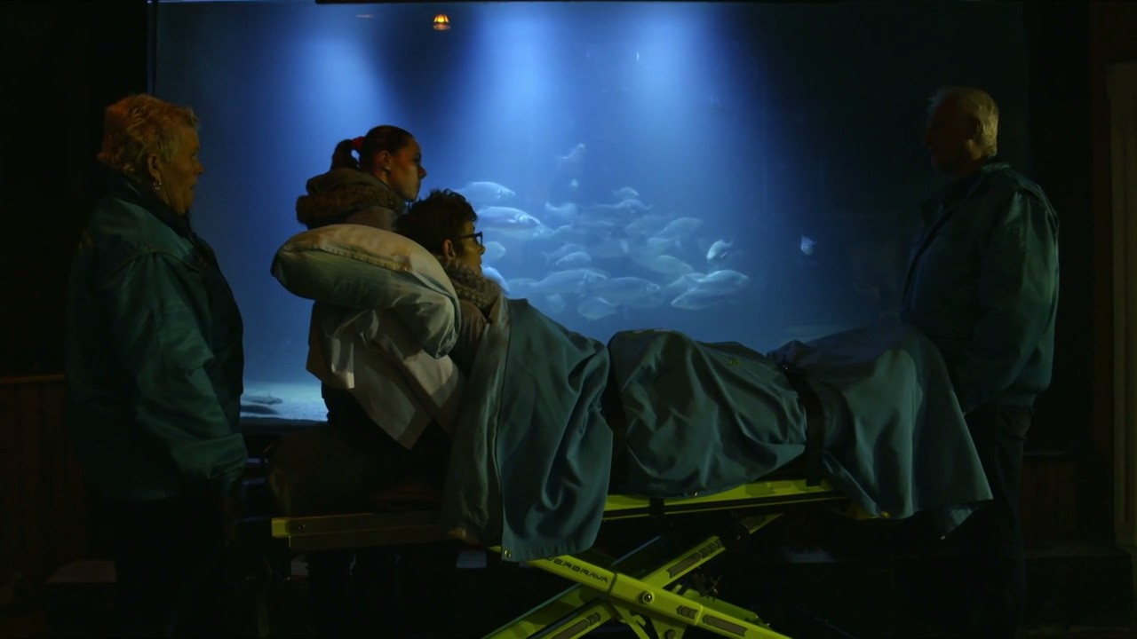 BBC地平线：我们需要谈谈死亡剧照的剧照