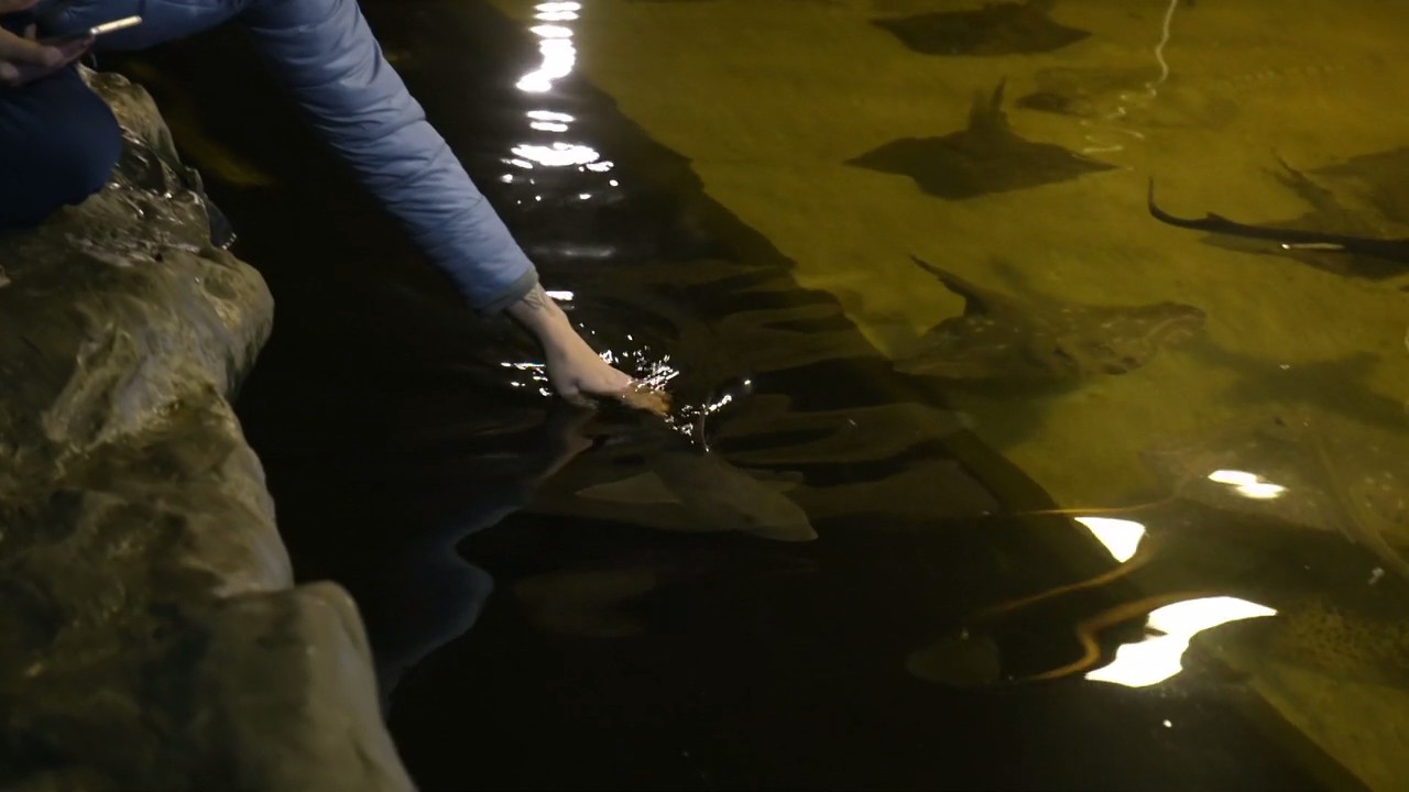 BBC地平线：我们需要谈谈死亡剧照的剧照