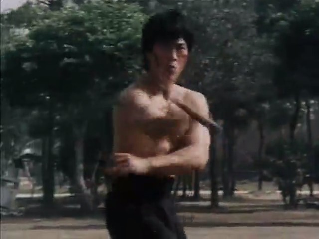 咏春截拳剧照的剧照