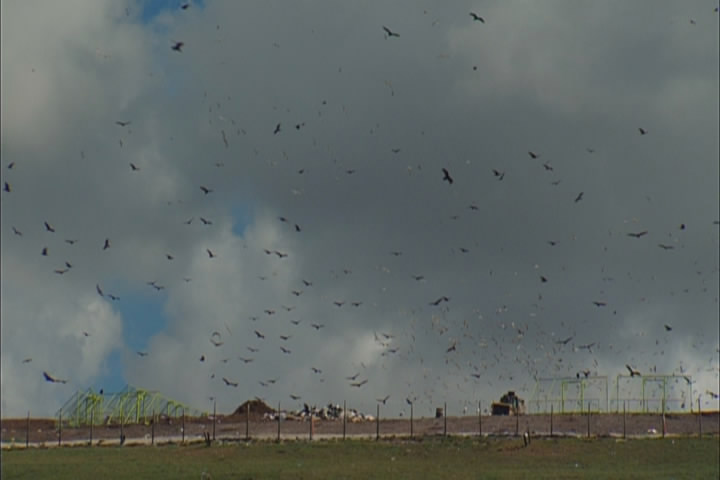 凝视深渊剧照的剧照