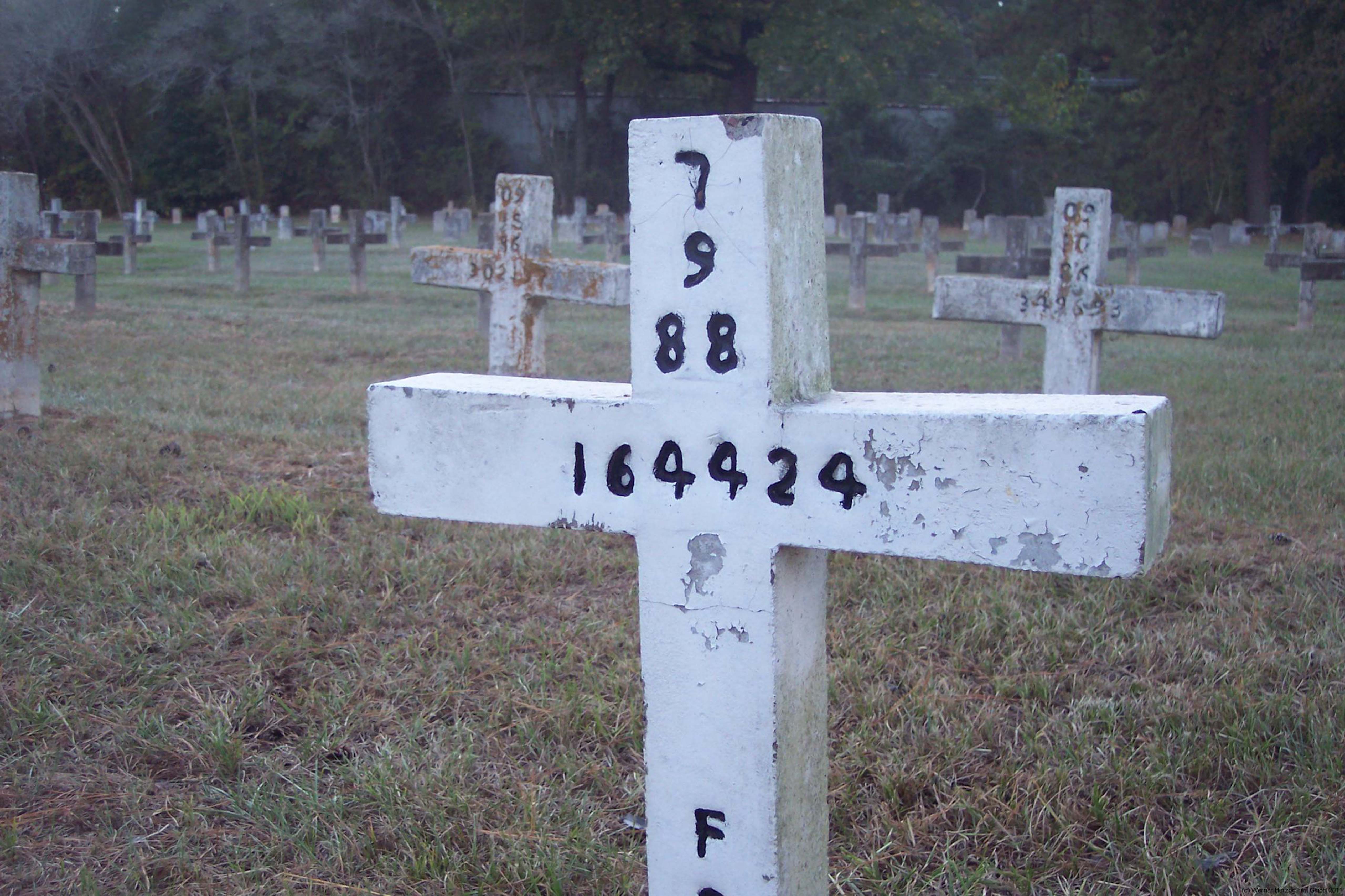 凝视深渊剧照的剧照