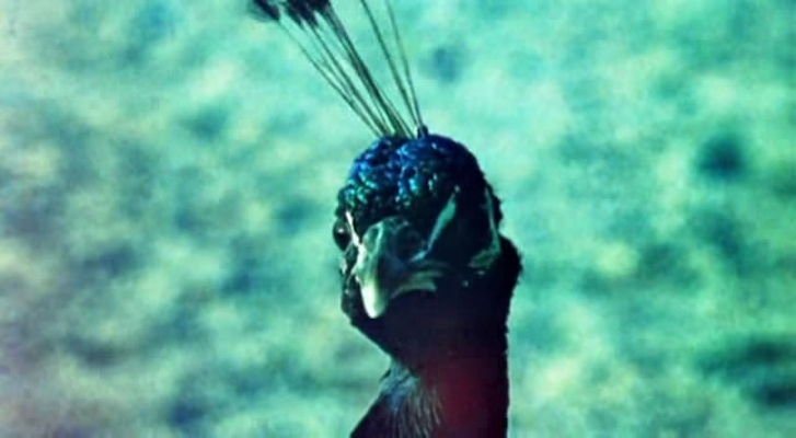 至关紧要的岁月剧照的剧照