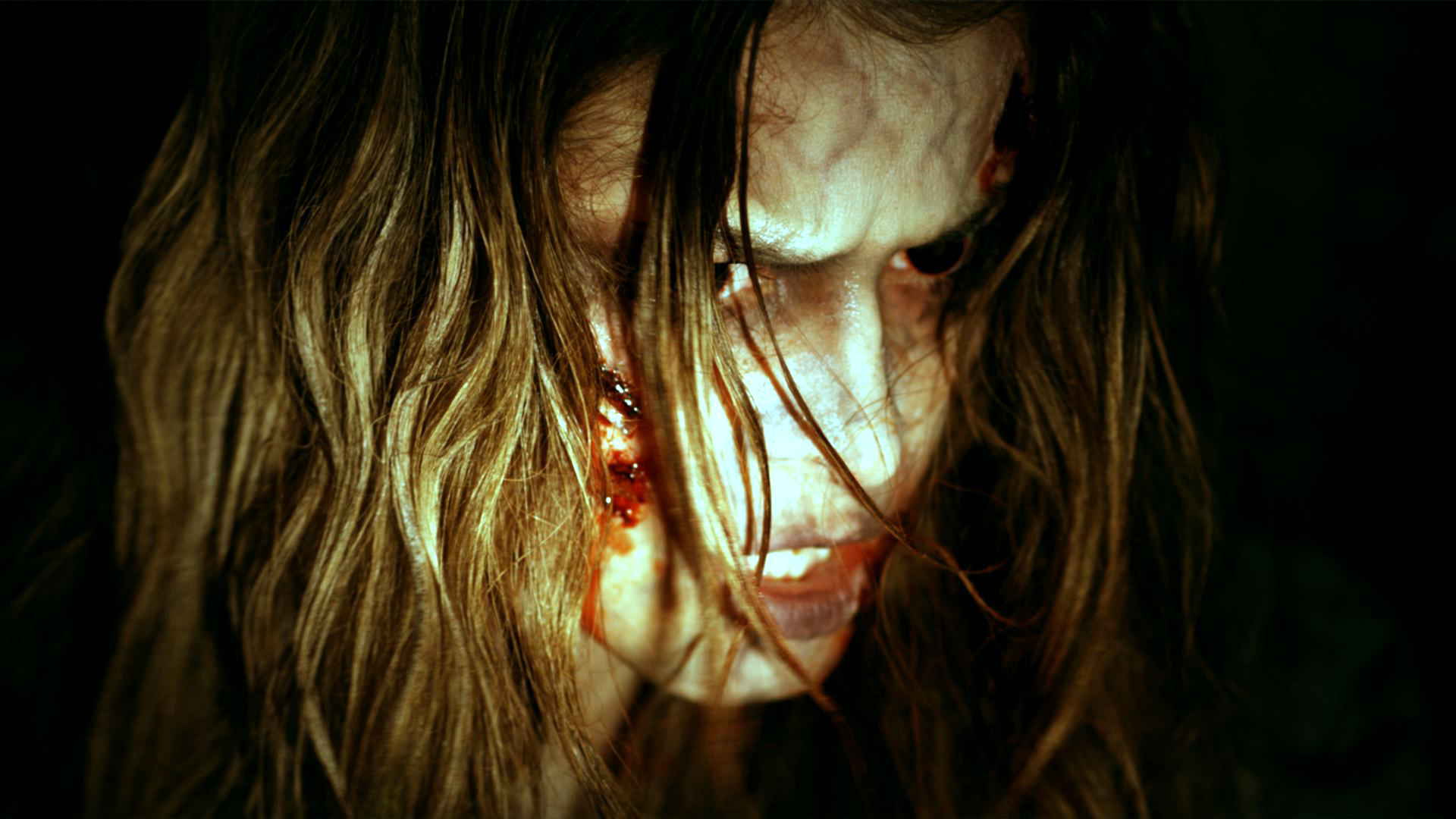 病毒禁区剧照的剧照