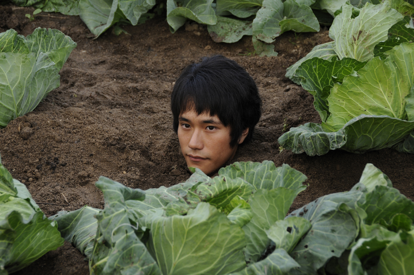 奇迹爱情物语剧照的剧照