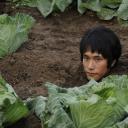 奇迹爱情物语剧照