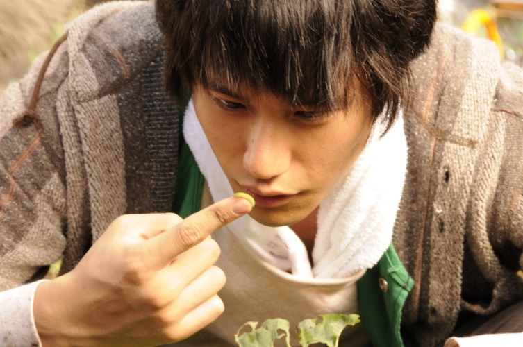 奇迹爱情物语剧照的剧照