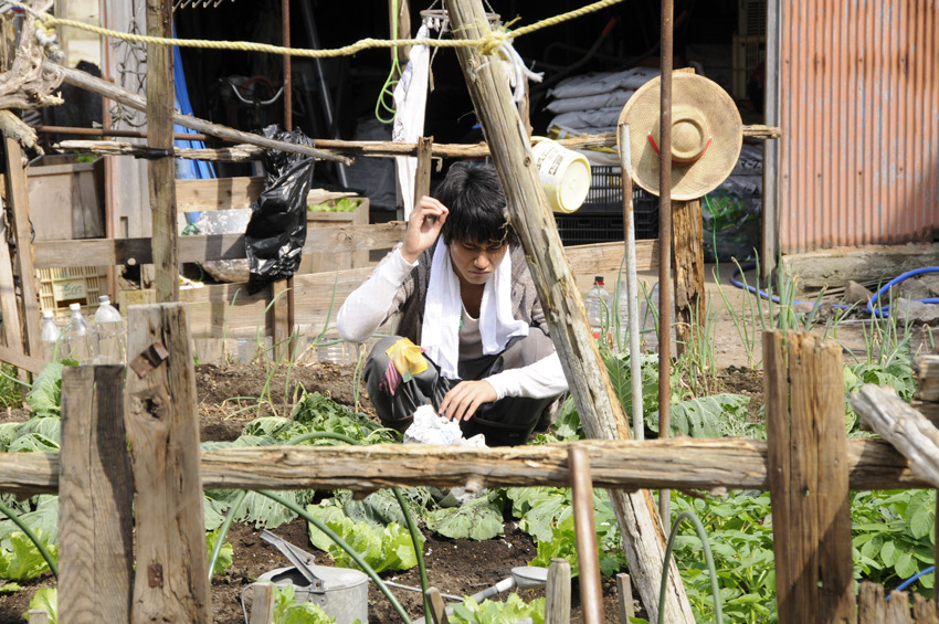 奇迹爱情物语剧照的剧照