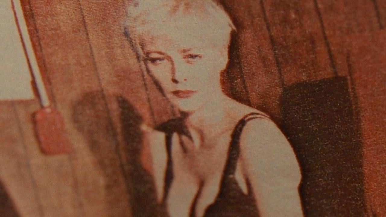 双峰：遗失的碎片剧照的剧照