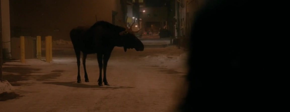 冰封之地剧照的剧照