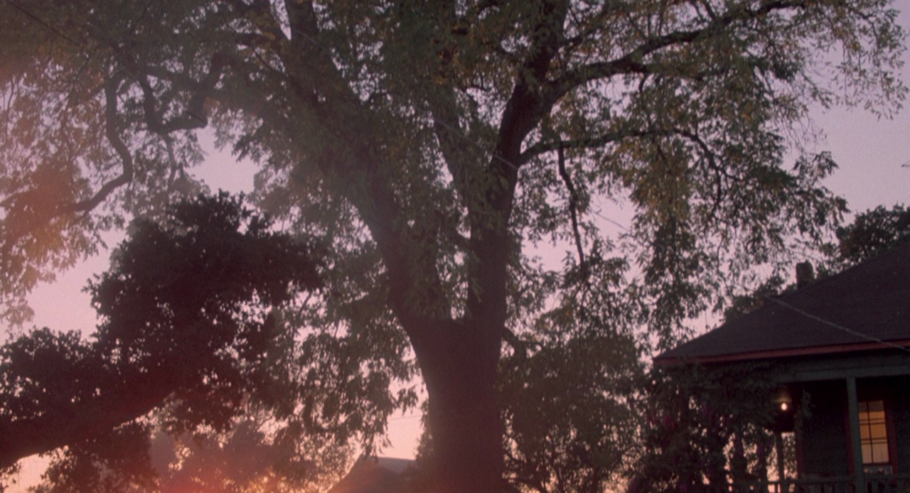 佩姬苏要出嫁剧照的剧照