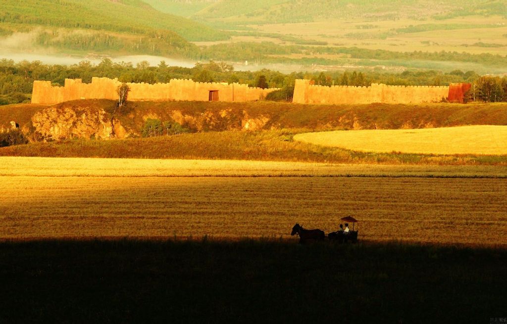 麦田剧照的剧照