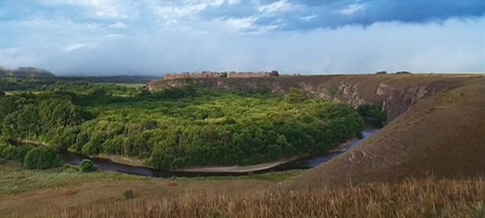 麦田剧照的剧照