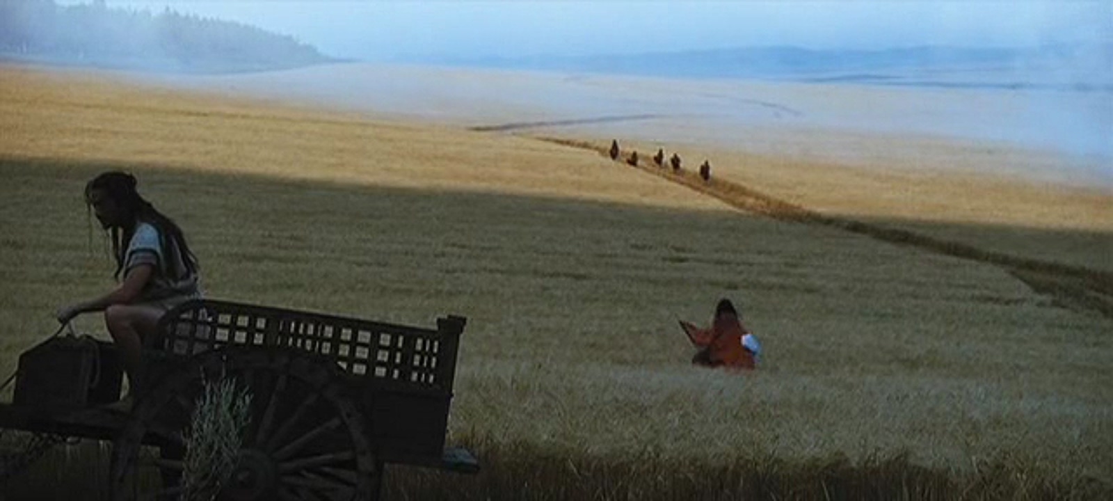 麦田剧照的剧照