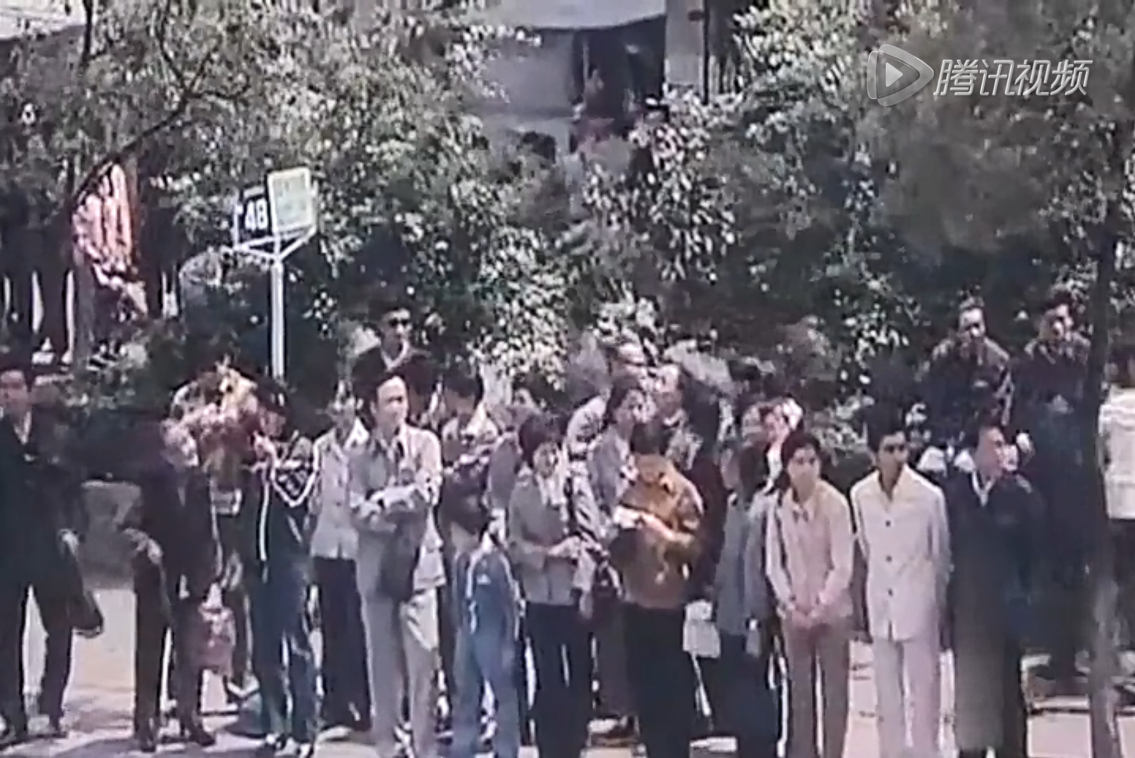 浪花细沙剧照的剧照